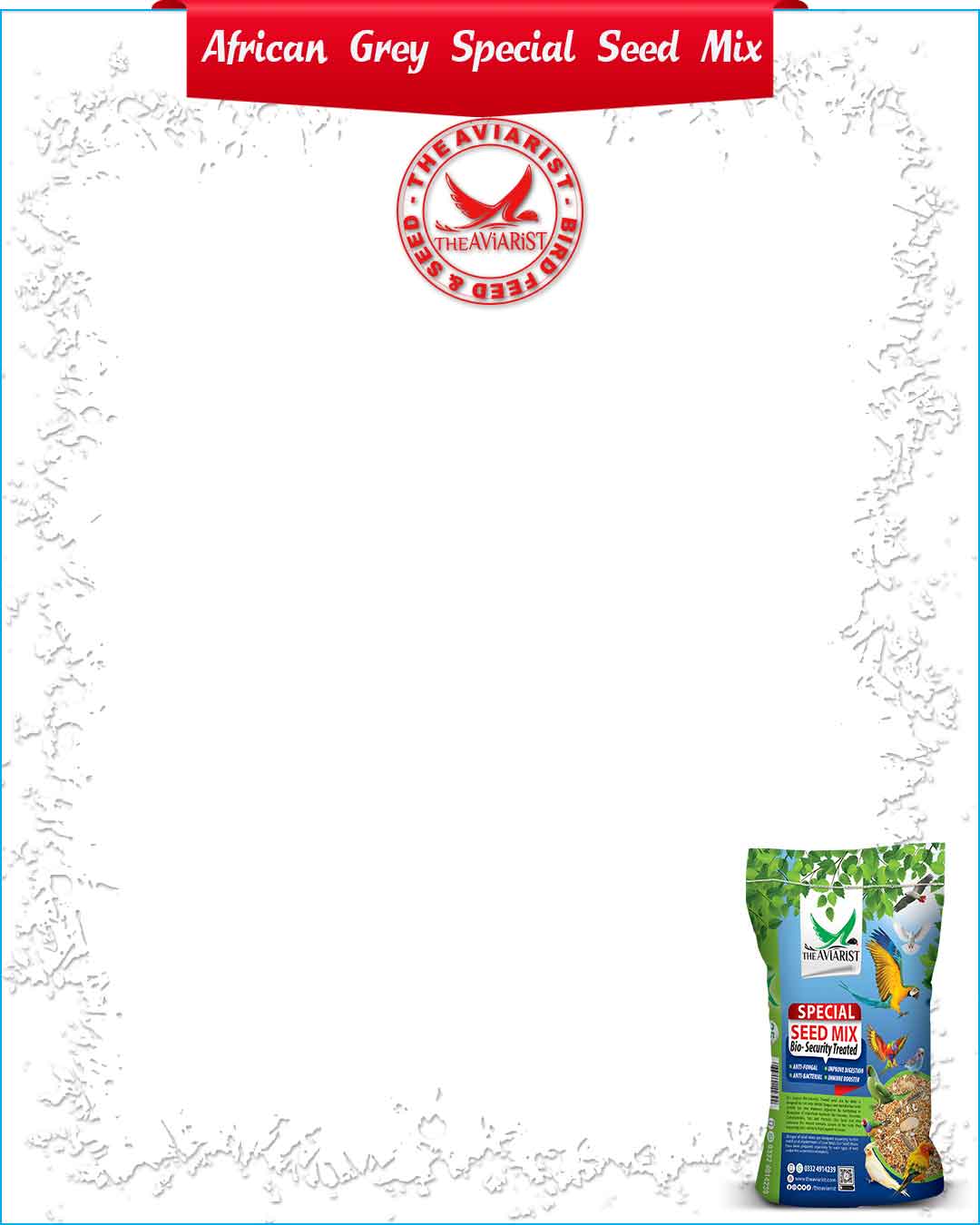 Special Seed Mix for Congo African Grey Parrot - The Aviarist