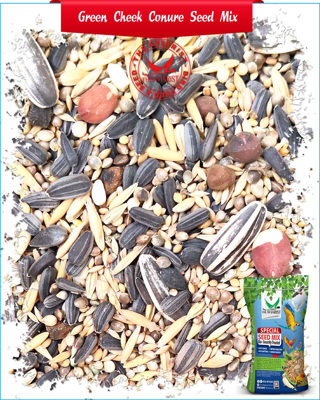Green Cheek Conure Parrot Family Special Seed Mix - The Aviarist