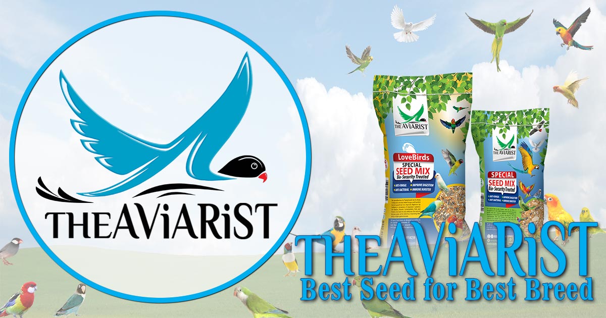 The Aviarist Seed Mix for Birds