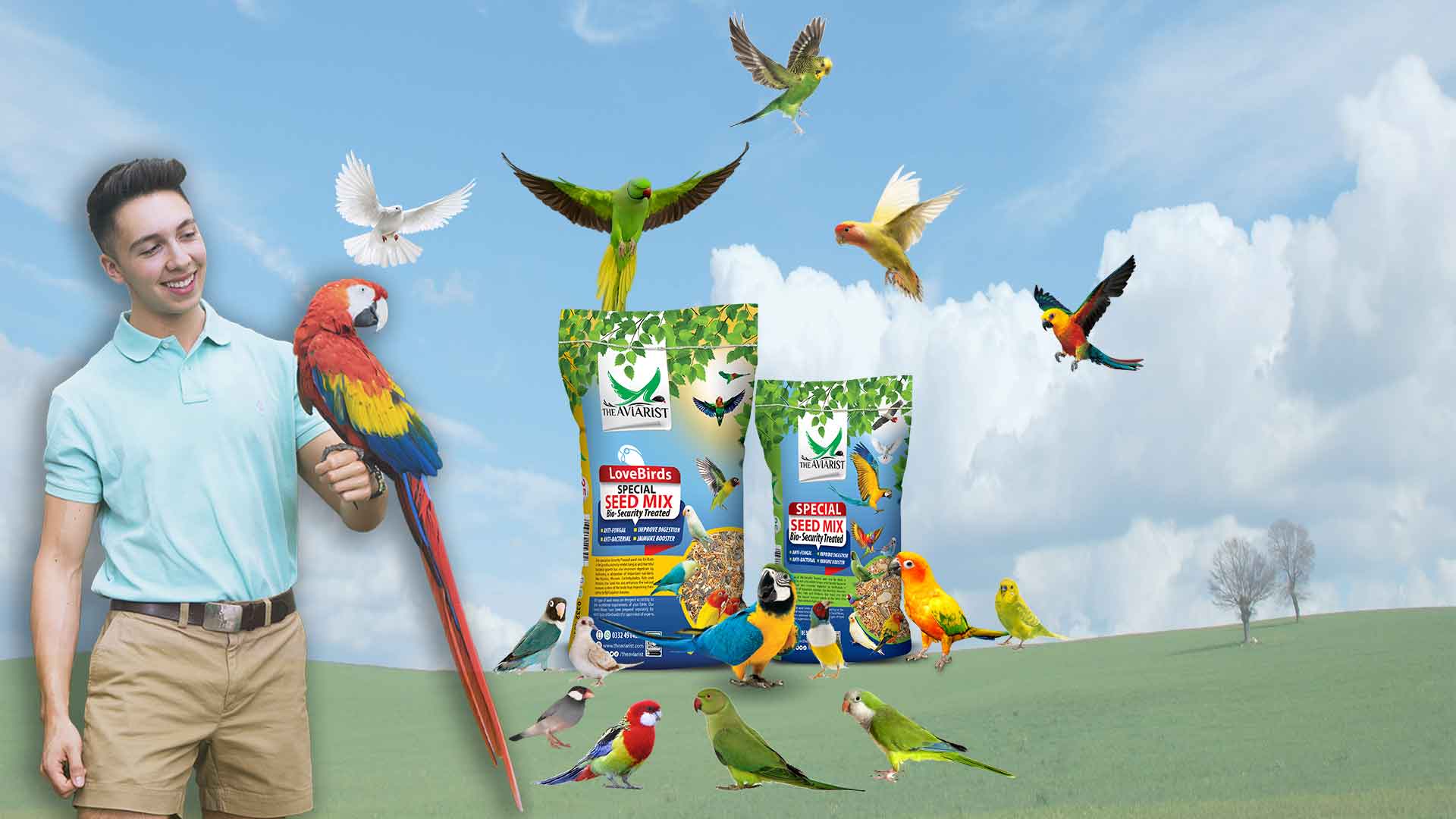 The Aviarist - Bird Seed Mix - Main Title
